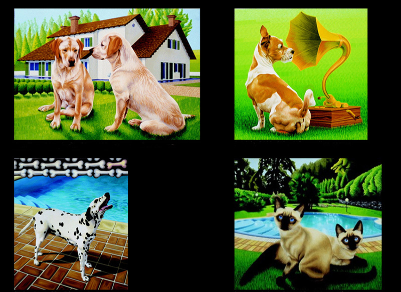 nat-01 Animal Portraits. 2000-2001, size varies, oil on canvas.