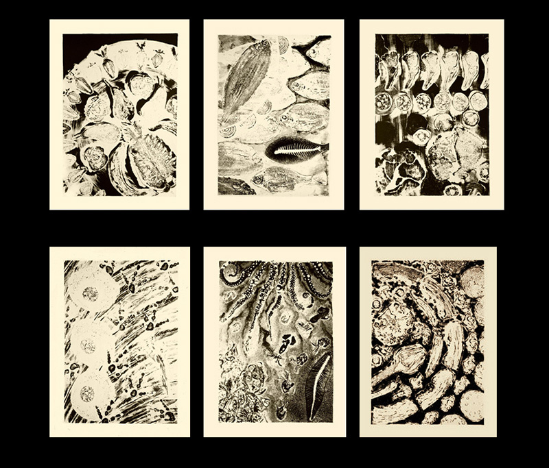 nat-03 Food Prints. 1997, 66 x 54 cm each, lithographs, edition of 15.