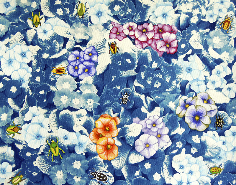 nat-11 Beetles and Pansies. 2014, 28 x 35 cm, cyanotype print and gouache on paper.