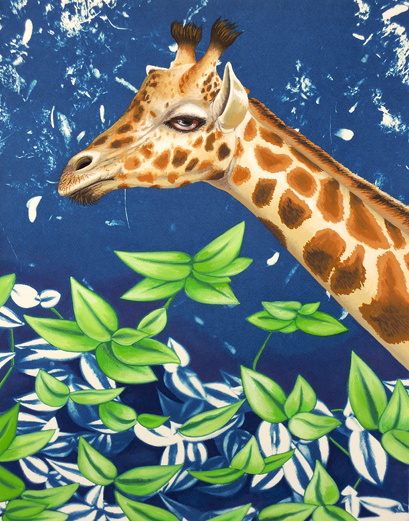 nat-12 Giraffe. 2014, 35 x 28 cm, cyanotype print and gouache on paper.