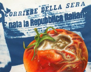 Tomato Republic. 2012, 28 x 35 cm, cyanotype print, watercolour and gouache on paper.  