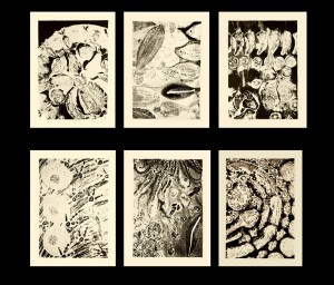 Food Prints. 1997, 66 x 54 cm each, lithographs, edition of 15.  