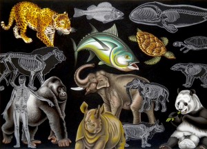 Endangered Animals. 2010, 40 x 56 cm, gouache and collage on paper.  